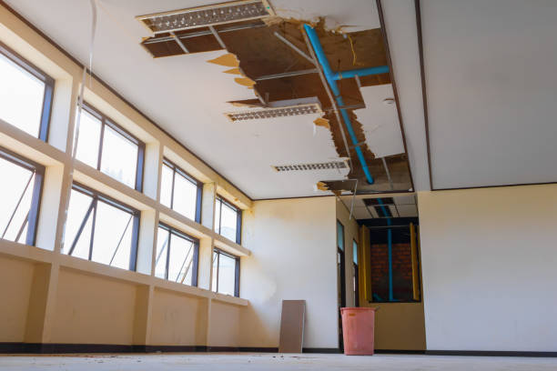 Best Residential water damage restoration  in Eudora, KS