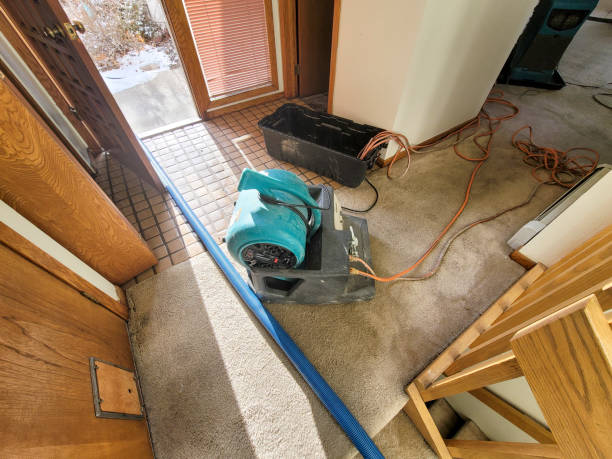 Professional Water damage restoration in Eudora, KS