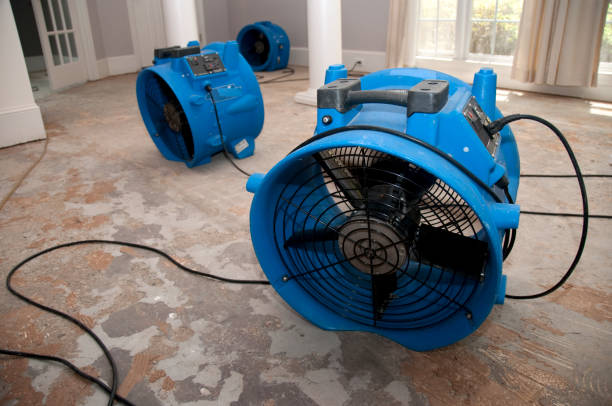 Best Flooded house restoration  in Eudora, KS