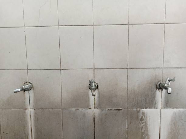 Best Flood restoration services  in Eudora, KS
