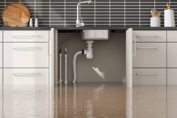 Best Flood damage cleanup  in Eudora, KS