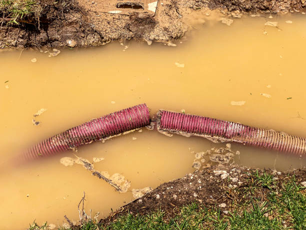 Best Local water damage restoration  in Eudora, KS