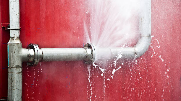 Best Carpet water damage restoration  in Eudora, KS
