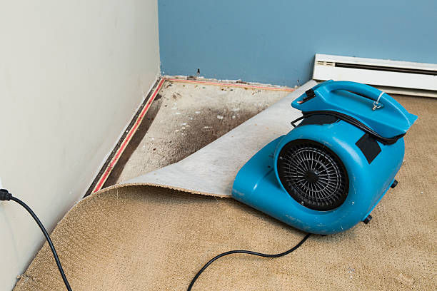 Best 24/7 water damage repair  in Eudora, KS